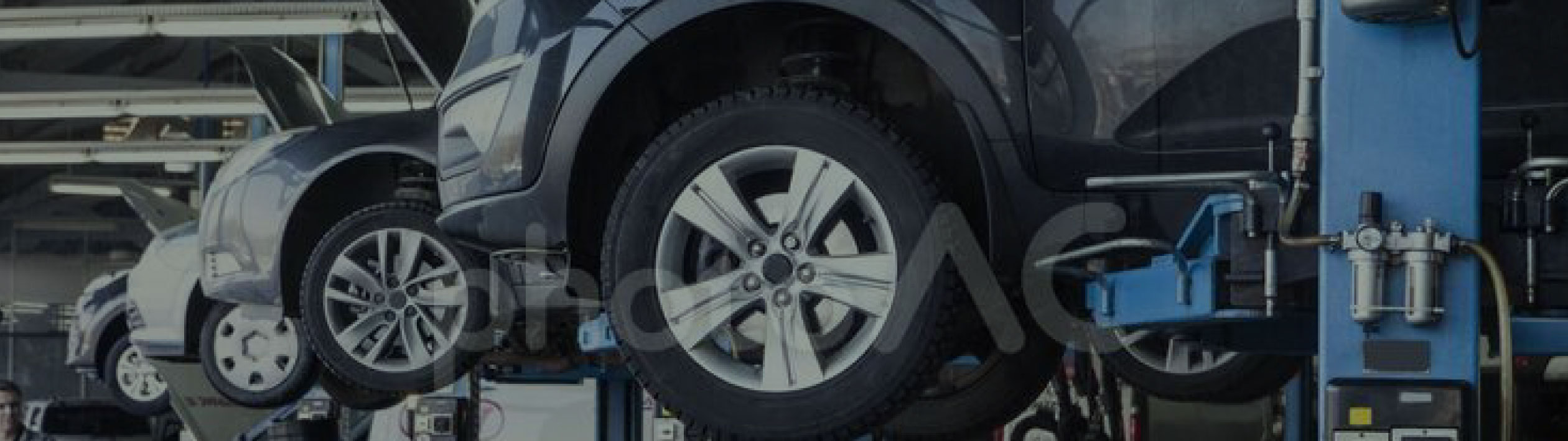 フロッグオート　会社概要